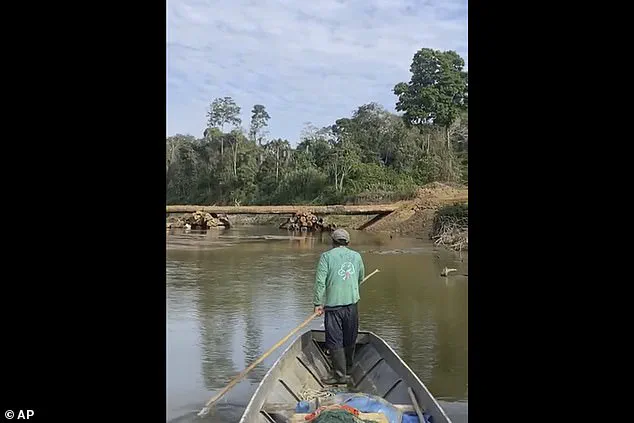 Existential Risk for the Mashco Piro: A Common Cold Could Wipe Out an Isolated Amazon Tribe