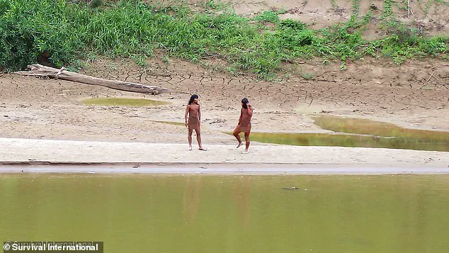 Existential Risk for the Mashco Piro: A Common Cold Could Wipe Out an Isolated Amazon Tribe