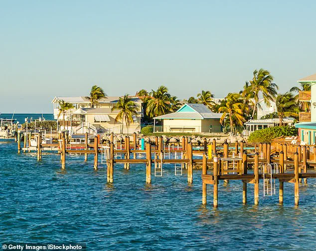 Miraculous Survival: Eight-Year-Old Boy Rescued by Sister After Shark Attack in Key Largo
