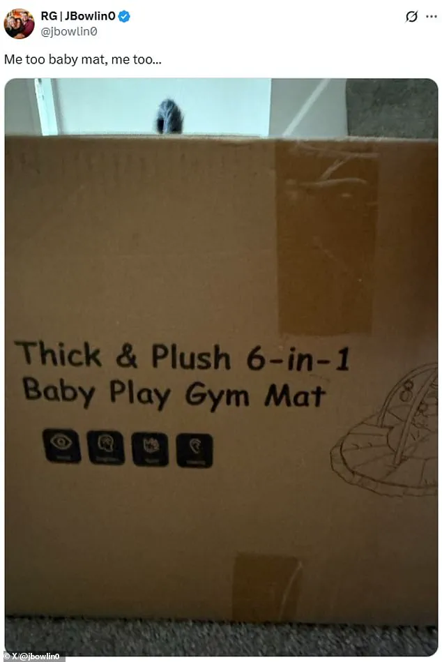 Confounding Assumptions: Abby and Brittany Hensel's Journey of Resilience and Determination