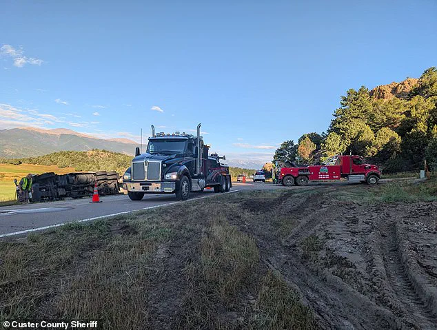 Unusual Semi-Truck Crash Spills Sweet Corn on Colorado Highway, Prompting Community Response