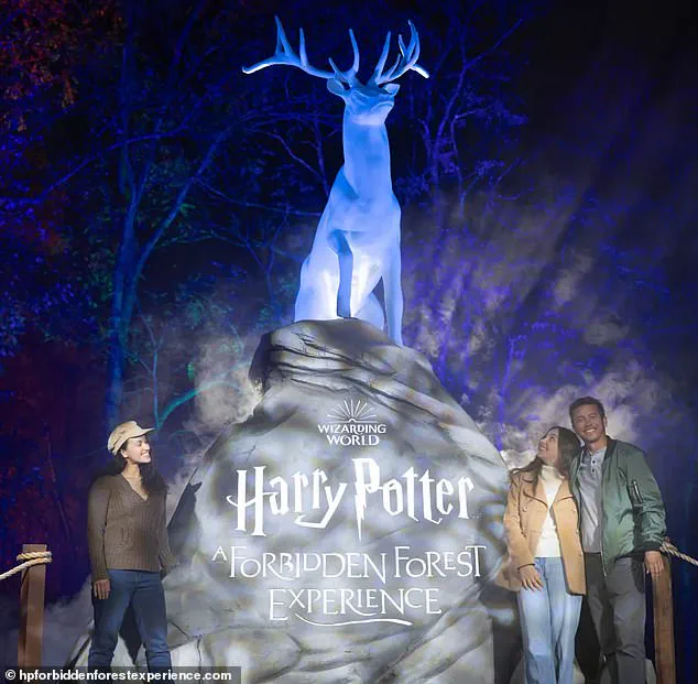 Behind the Scenes: How Limited Access to Information Ignited the Rowling-Park Board Fallout