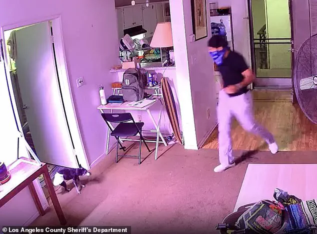 Breaking: Exclusive Footage Shows Food Delivery Driver Allegedly Stealing Cat from West Hollywood Stoop