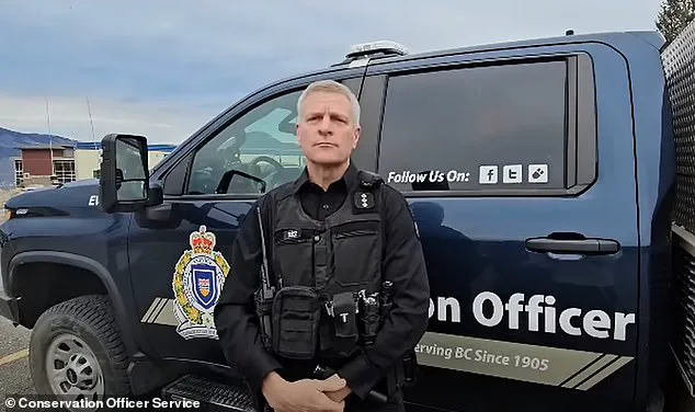 Exclusive Access to Information on the Grizzly Bear Attack in Bella Coola