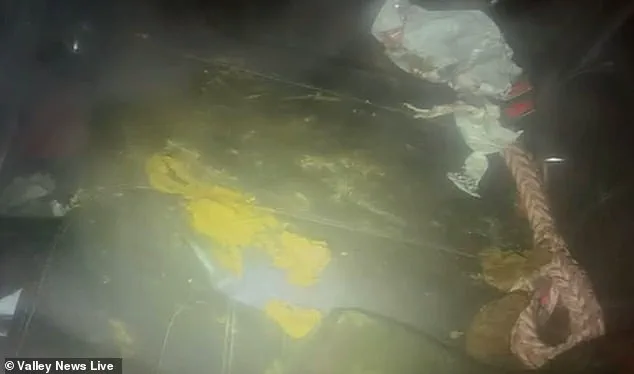 Minnesota's Animal Welfare Regulations: A Lifeline for Pets in Freezing Conditions