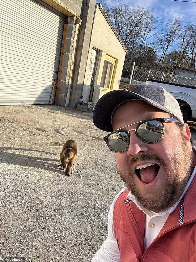 Cinnamon Capuchin Monkey's Ruckus at Morristown's Trade Center Leaves Employees Baffled