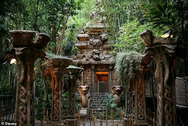 Disneyland Incident Highlights Gaps in Public Safety Measures Amid Rising Concerns Over Crowd Management