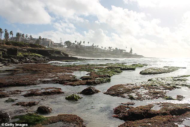 Tourists Disrupt San Diego's La Jolla Tidal Pools, Threatening Marine Life Amid King Tides Violations