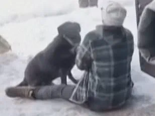 Minneapolis Mayor Frey Condemns ICE Agent's Killing in Strong Language on CNN