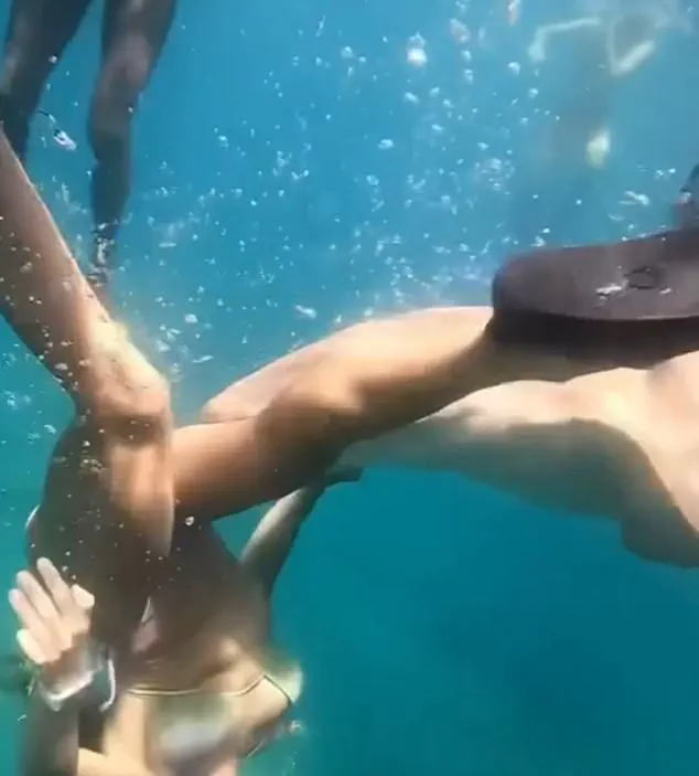 Emergency: Nurse Shark Attacks Freediver Near Fernando de Noronha in Shocking Video Footage