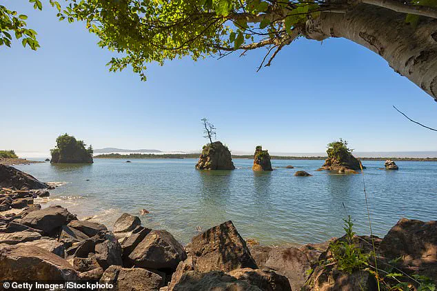 Advanced Forensic Techniques Aid in Identification of Missing Mayor, Highlighting Law Enforcement's Role in Community Closure