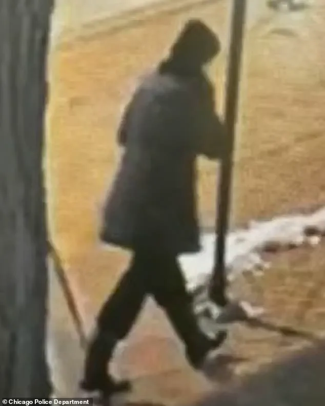 Tragic Discovery of Beloved Special Education Teacher Linda Brown in Lake Michigan Marks End of 10-Day Search