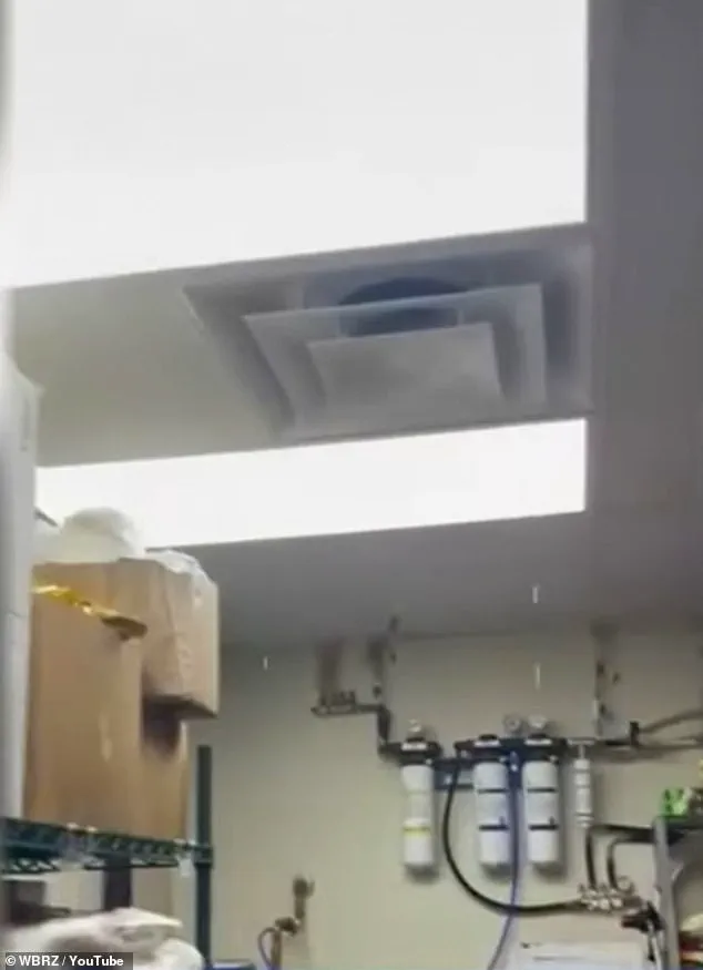 Neglected Health and Safety Regulations Expose Workers and Public to Hazardous Conditions at Louisiana Wendy's