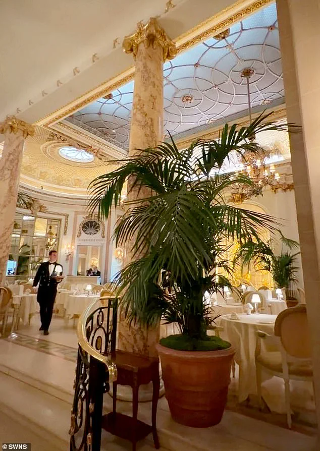 Ritz London Mouse Incident Disrupts Afternoon Tea on January 11