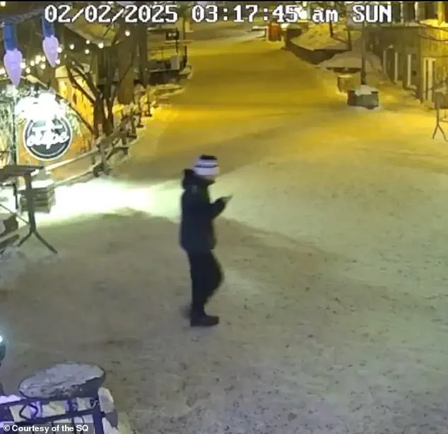 Breaking: Missing for a Year – New Clues in Liam Toman's Disappearance as Wallet Found in Melting Snow