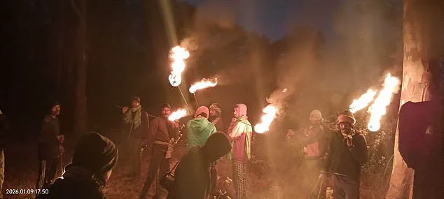 Rogue Elephant's Deadly Rampage Grips West Singhbhum Villages, Leaving 22 Dead and Communities in Fear