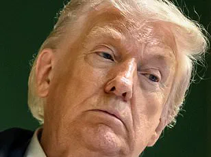 Trump and Rutte Clash Over NATO Commitment, Exposing Transatlantic Fractures at Davos