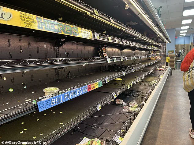 Historic Ice Storm 'Fern' Sparks Widespread Alerts, Threatens Infrastructure Across 34 States