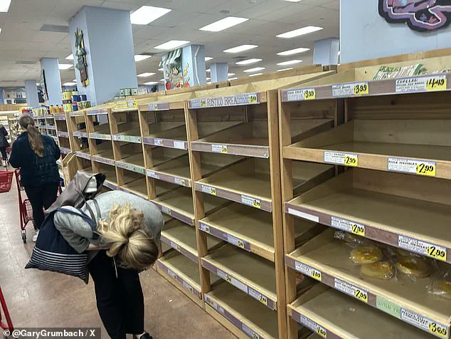 Historic Ice Storm 'Fern' Sparks Widespread Alerts, Threatens Infrastructure Across 34 States