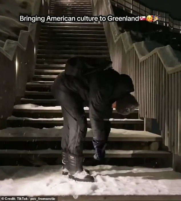 TikTok Video Sparks Global Debate Over Trump's Greenland Acquisition Proposal and Fentanyl Crisis