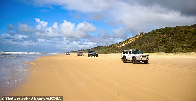Discovery of Piper James' Body on K'gari Island Sparks Safety Concerns and Dingo Controversy