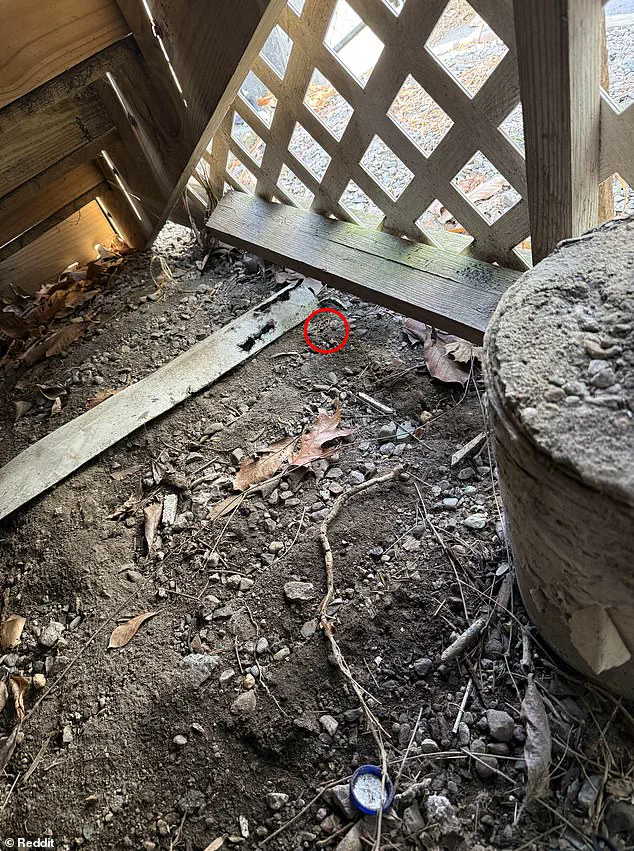 Desperate Husband's Online Plea: 'I Lost My Wedding Ring in a Pile of Dirt Beneath My Porch'
