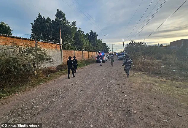 Tragedy at Mexican Football Match: 11 Dead as Community Speaks of Shock and Escalating Violence