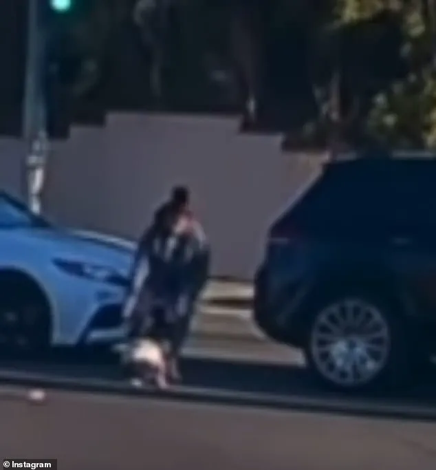19-Month-Old Toddler Falls from Moving Car in Fullerton; Driver Identified as 35-Year-Old Jacqueline Hernandez, Video Goes Viral