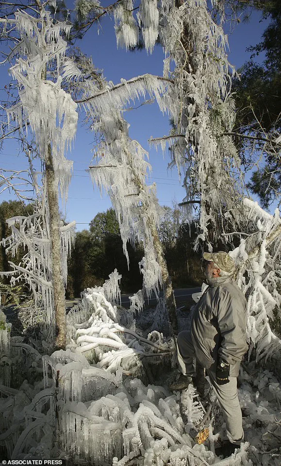 East Coast Storm Brings Unprecedented Cold to Miami, Marking First in 15 Years