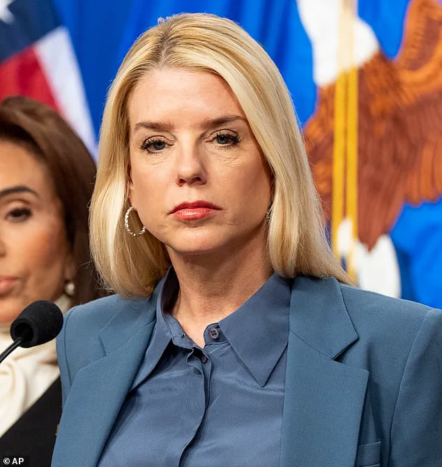 Somali Woman Arrested in Minneapolis for Alleged Assault on Federal Officers Amid National Debate on Immigration and Cultural Identity