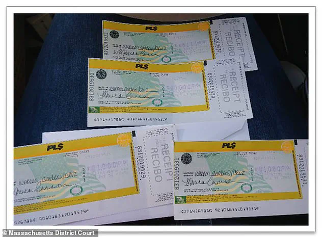 Exclusive Access and the Lenient Sentence of a Fraudster