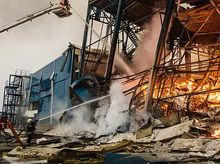 Love and Loss in the Frozen Expanse: Ukrainian Couple Killed by Russian FPV Drones in Tragic Flight from War