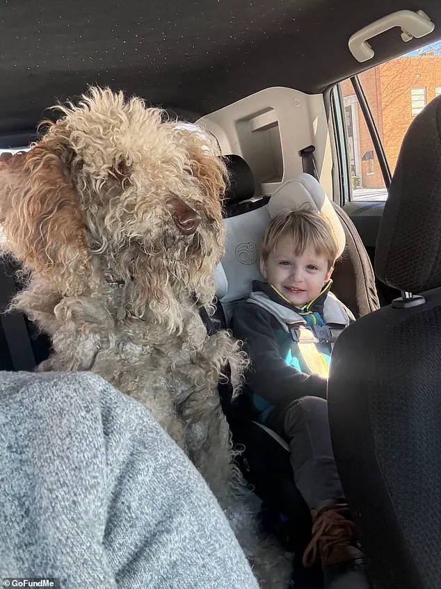 North Carolina Woman Charged with Abandoning Dog During Snowstorm After Rescuer Intervenes