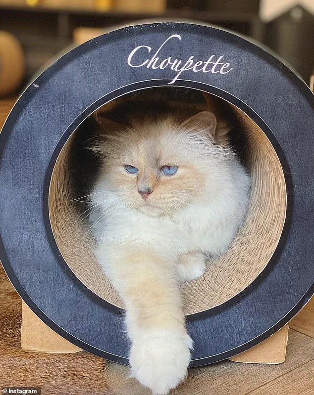 Challenge to Lagerfeld's Will Sparks New Legal Battle Over €200M Estate