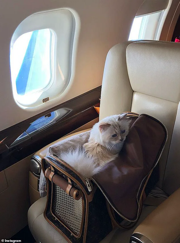 Challenge to Lagerfeld's Will Sparks New Legal Battle Over €200M Estate