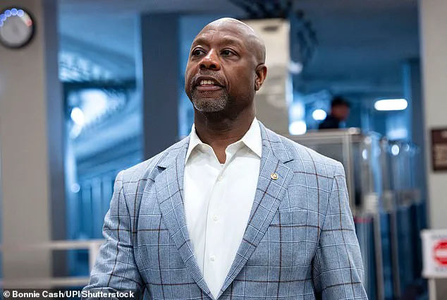 Trump Refuses to Apologize for Video Depicting Obamas as Apes