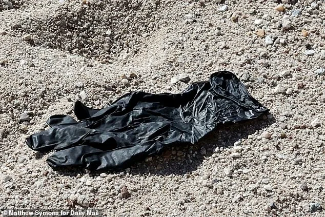 Setback in Nancy Guthrie Disappearance Investigation: FBI Confirms Glove DNA Doesn't Match, Sheriff Announces Forensic Results