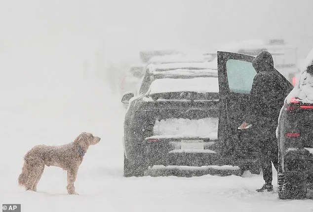 Major Winter Storm Warnings Issued for 27 States as Powerful System Advances, Threatening East Coast with Heavy Snowfall