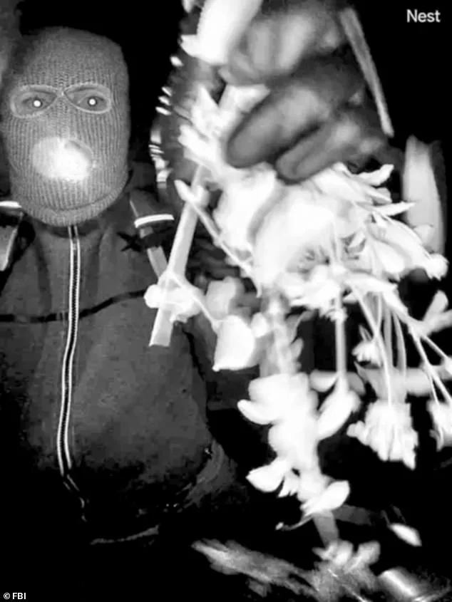 Unidentified Suspect in New Footage at Home of Nancy Guthrie, Days Before Abduction