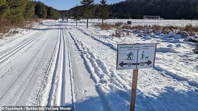 Four-Year-Old Dies After Sled Accident in Parc Nakkertok, Ontario
