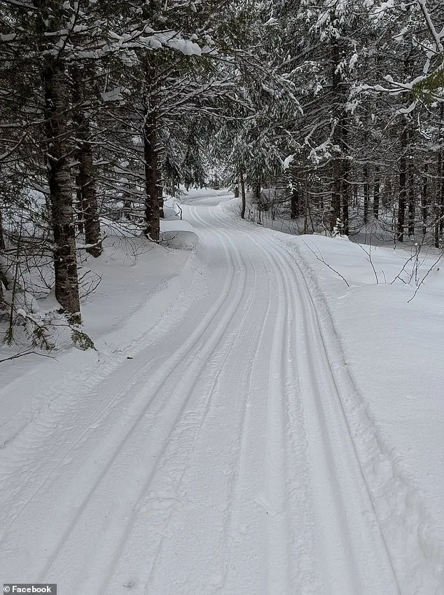 Four-Year-Old Dies After Sled Accident in Parc Nakkertok, Ontario