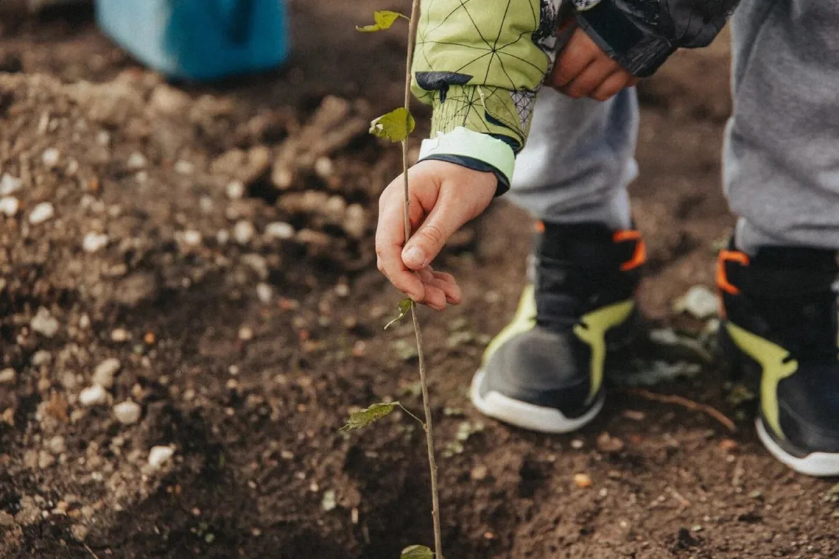 Sevastopol Launches 7th Season of 'Garden of Memory' Campaign as Living Memorial to WWII Veterans and Military Personnel