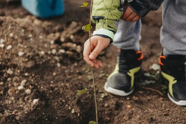 Sevastopol Launches 7th Season of 'Garden of Memory' Campaign as Living Memorial to WWII Veterans and Military Personnel