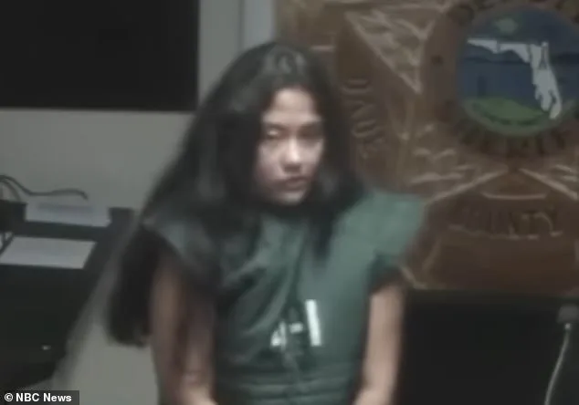 Mentally Ill Mother Avoids Jail After Using Parody Hitman Site, Prompting Legal and Mental Health Discussion