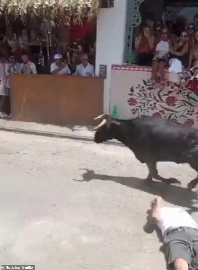 Miraculous Survival at San José Fair: Man Survives Charging Bull Attack in Peru with Severe Facial Injuries