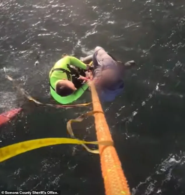 Kayak Capsizes in Tomales Bay; 37-Year-Old Woman Dies in Tragic Incident