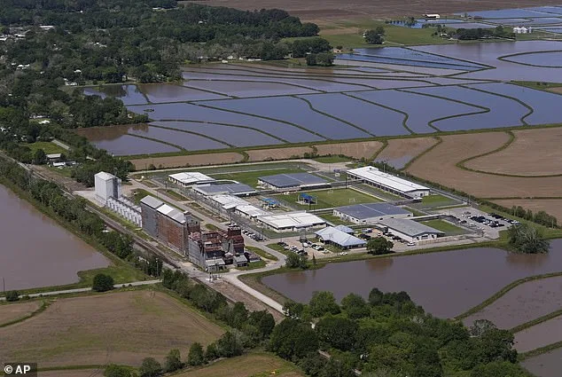 Army Spouse Detained by ICE Amid Immigration Crisis