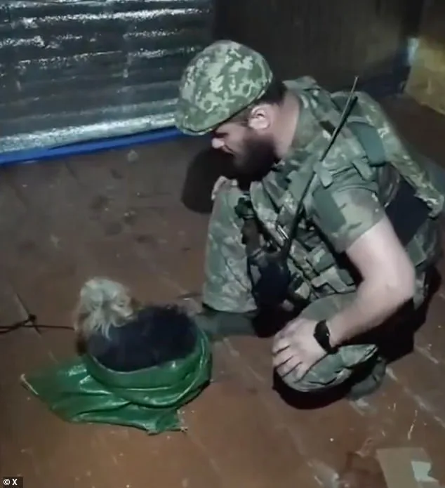 Daring Drone Rescue: Ukrainian Soldiers Save Animals Amid Kupyansk Conflict