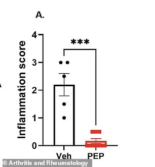 New Therapy for Arthritis: Peptide Treatment Offers Hope