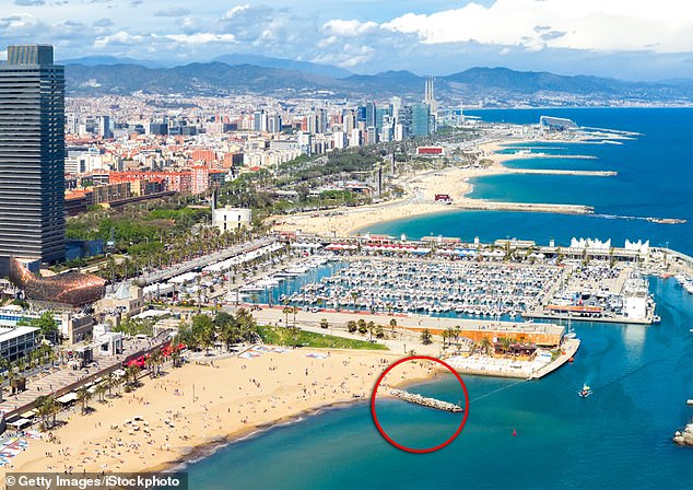 Spanish witness reveals final moments of American student James Gracey before death in Barcelona.